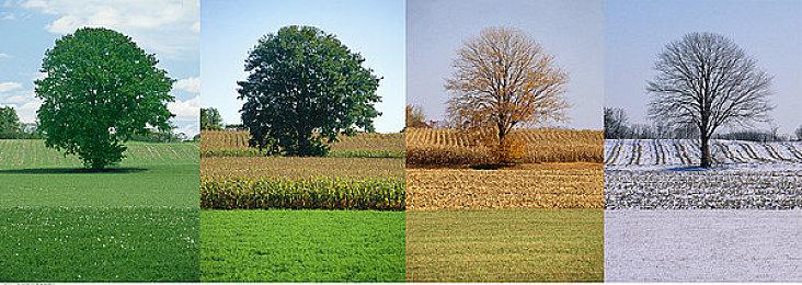 《消逝的光芒2》3050＆3080测试：3050不能2K＆60帧